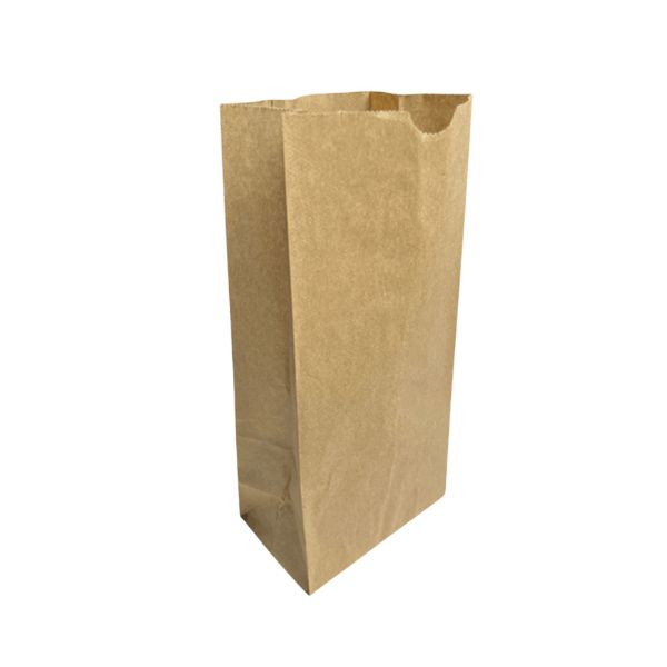 Brown paper bag on a white background